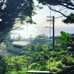 Five ways to reduce the ‘noise’ in your life — Star Anise Organic Wholefoods