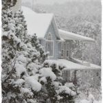 Preparing the Homestead for Winter