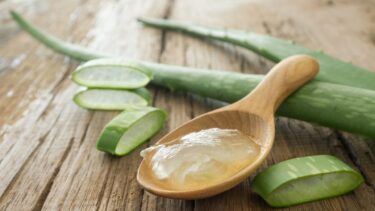 Aloe vera leaves & a Spoon of aloe vera gel