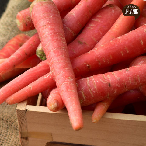 carrot or red gajar