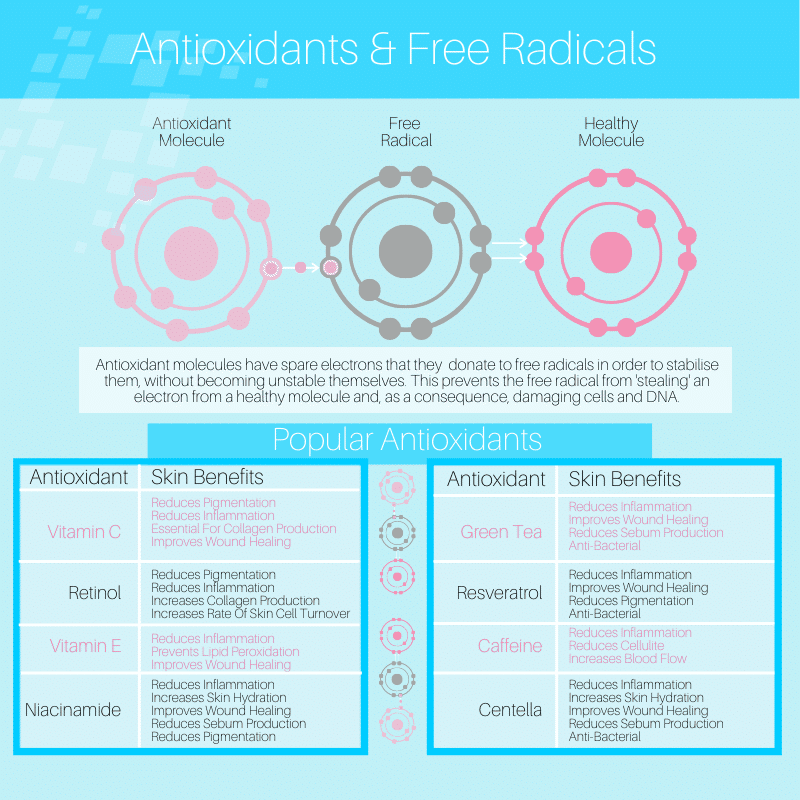 antioxidant infographic - SkinScience