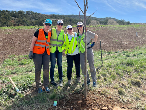 Osmia team members standing near a newly planted tree.