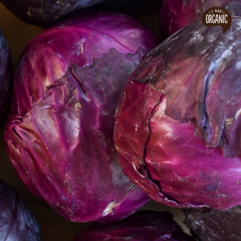 red cabbage