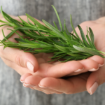 Reflections at Sky Organics: 2023 Year in Review