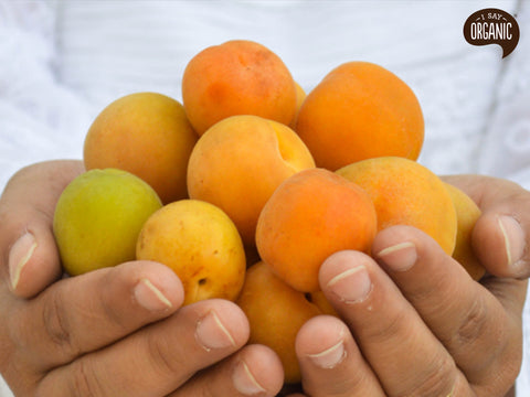 Organic apricots