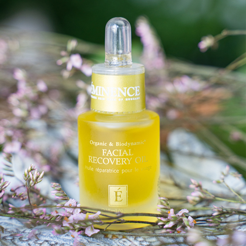 Facial Recovery Oil