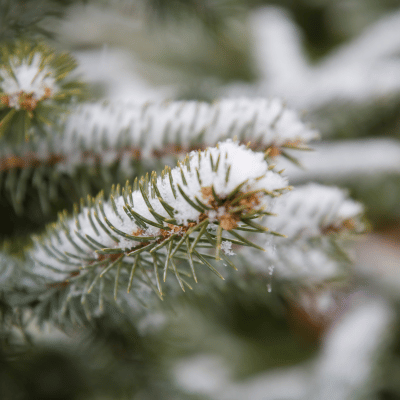 winter skin sensitivities