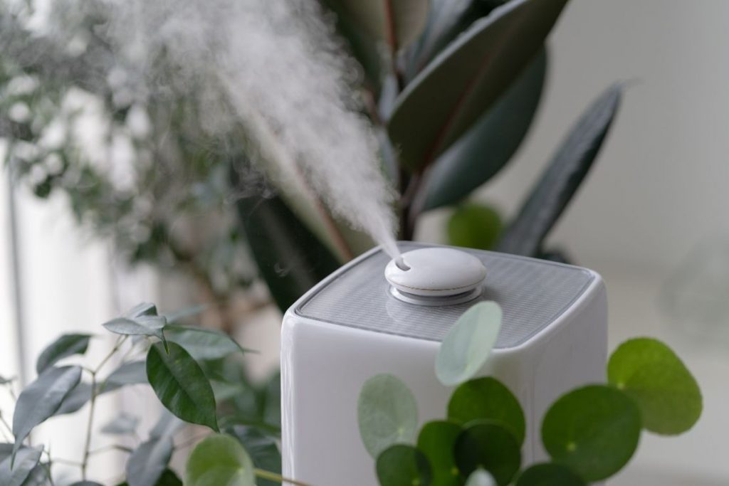 Can a Humidifier Help Prevent Winter Skin Problems?