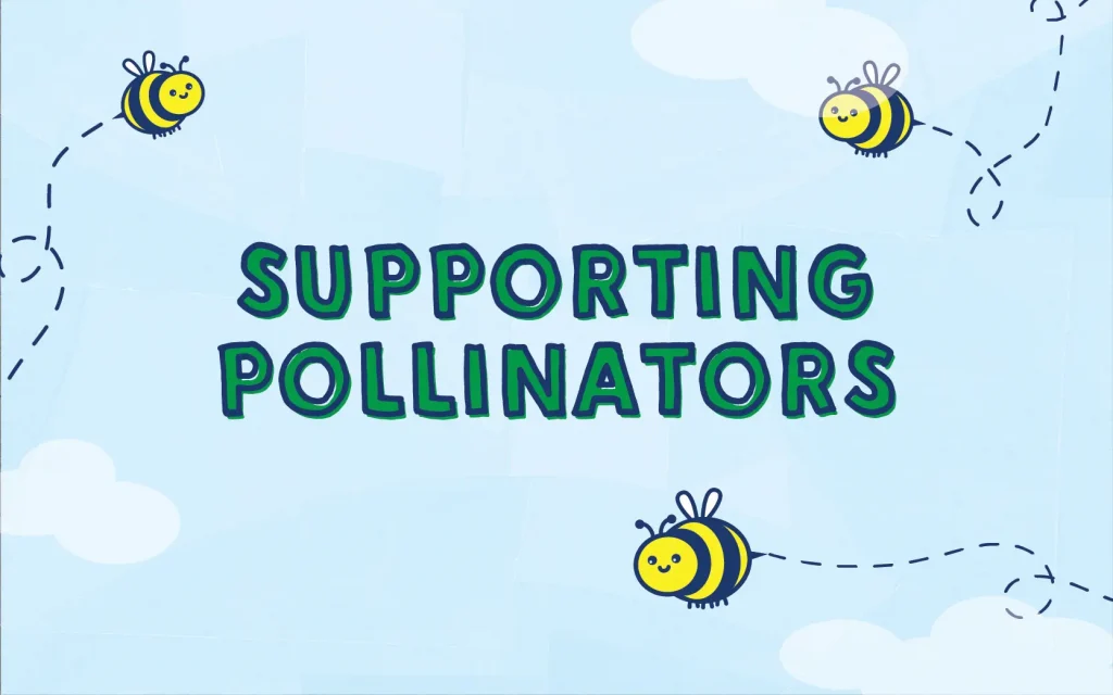 How To Make Your Backyard More Bee-Friendly
