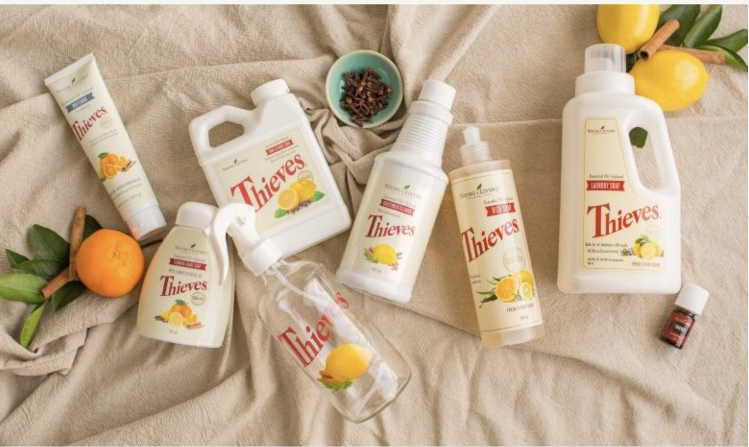 In need of a professional low tox cleaner? Or are you a cleaning biz? — Star Anise Organic Wholefoods