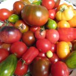 YouTube: Tomato Tricks for Growing in Small Spaces