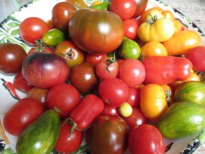 YouTube: Tomato Tricks for Growing in Small Spaces